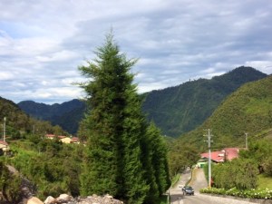 The road from the shops down to The Lupe